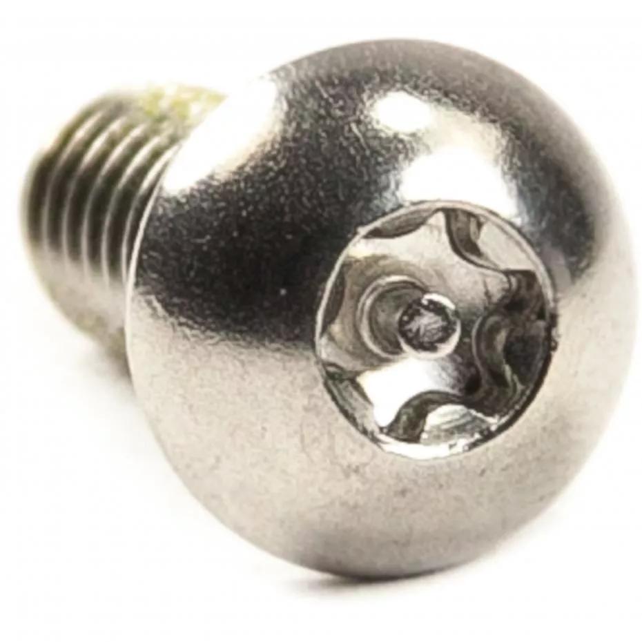 Torx Head Security Screws - 5 Pack